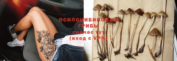 ГАЛЛЮЦИНОГЕННЫЕ ГРИБЫ Алексеевка