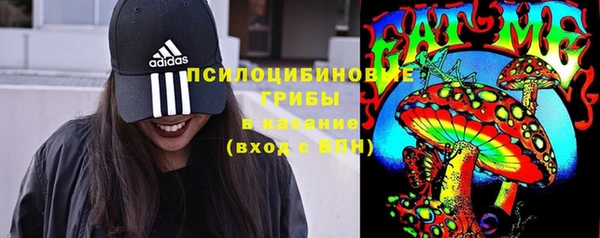 МДПВ Алзамай