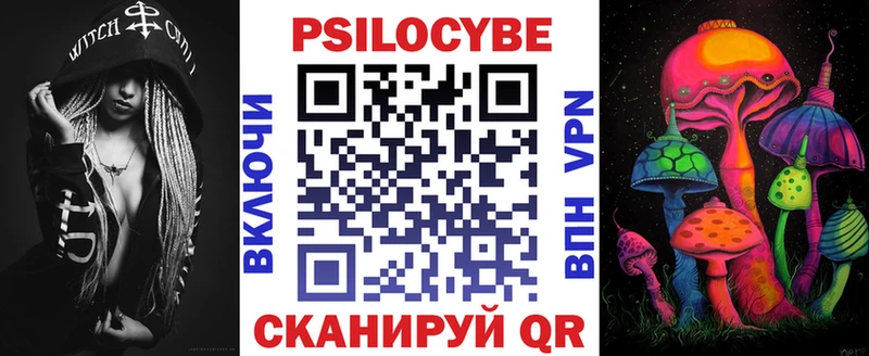 купить   Невельск  Псилоцибиновые грибы Cubensis 